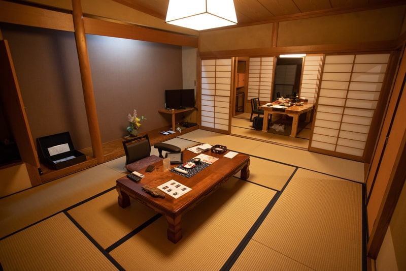 Ryokan vs. Capsule Hotel vs. Themed Hotel